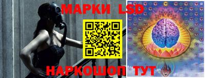 ПСИЛОЦИБИНОВЫЕ ГРИБЫ Нальчик
